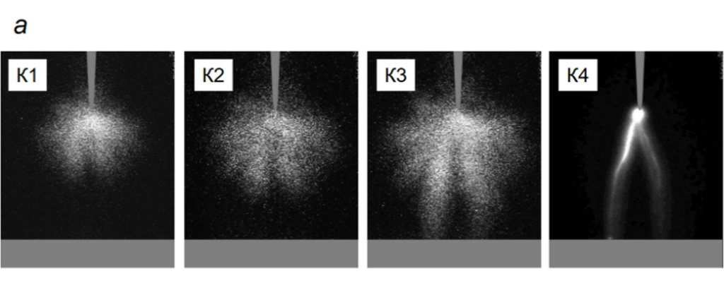 fig01_1.jpg